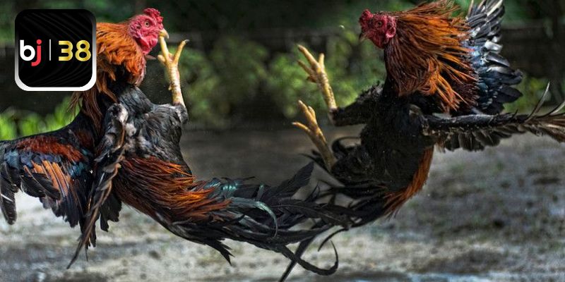 Cách Truy Cập Nhanh Chóng Link Vào Alo789